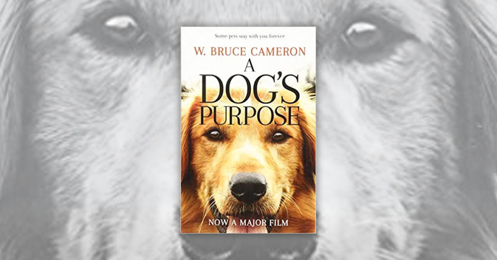 Books About Dogs R Amazing! - A Dogs Purpose