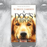 Books About Dogs R Amazing! - A Dogs Purpose