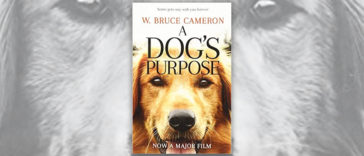 Books About Dogs R Amazing! - A Dogs Purpose