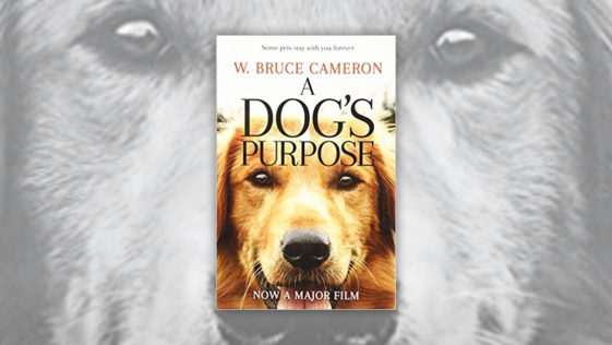 Books About Dogs R Amazing! - A Dogs Purpose