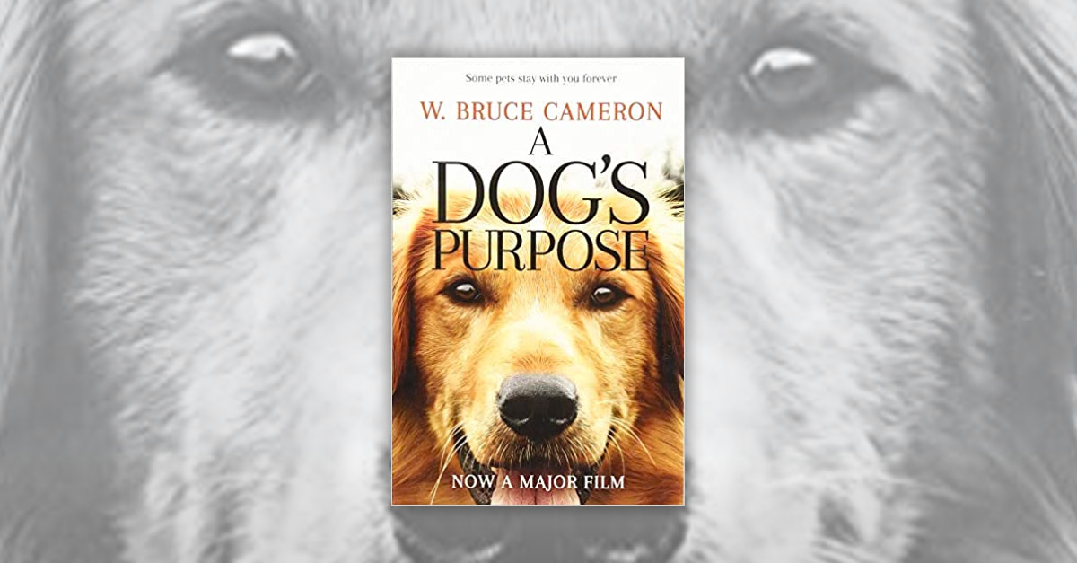Books About Dogs R Amazing! - A Dogs Purpose