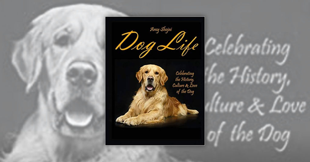 Books About Dogs R Amazing! - Dog Life