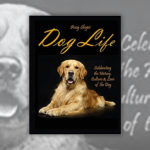 Books About Dogs R Amazing! - Dog Life