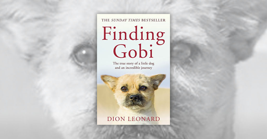Books About Dogs R Amazing! - Finding Gobi