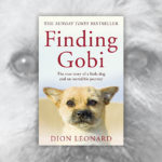 Books About Dogs R Amazing! - Finding Gobi