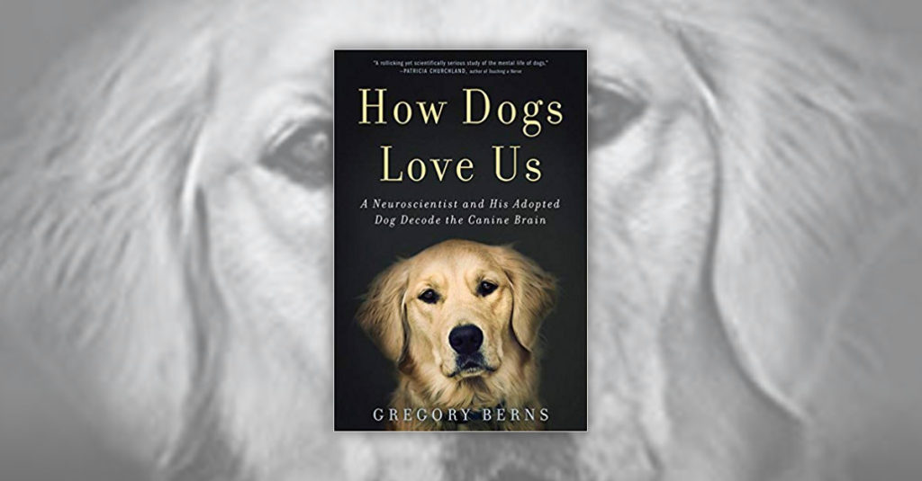 Books About Dogs R Amazing! - How Dogs Love Us