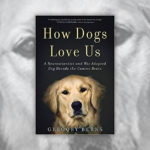 Books About Dogs R Amazing! - How Dogs Love Us