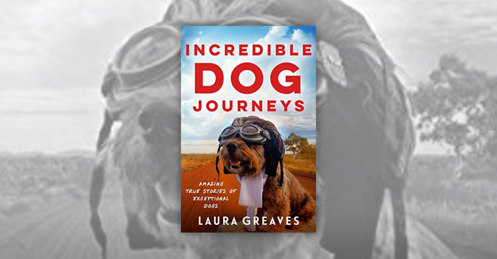 Books About Dogs R Amazing! - Incredible Dog Journeys