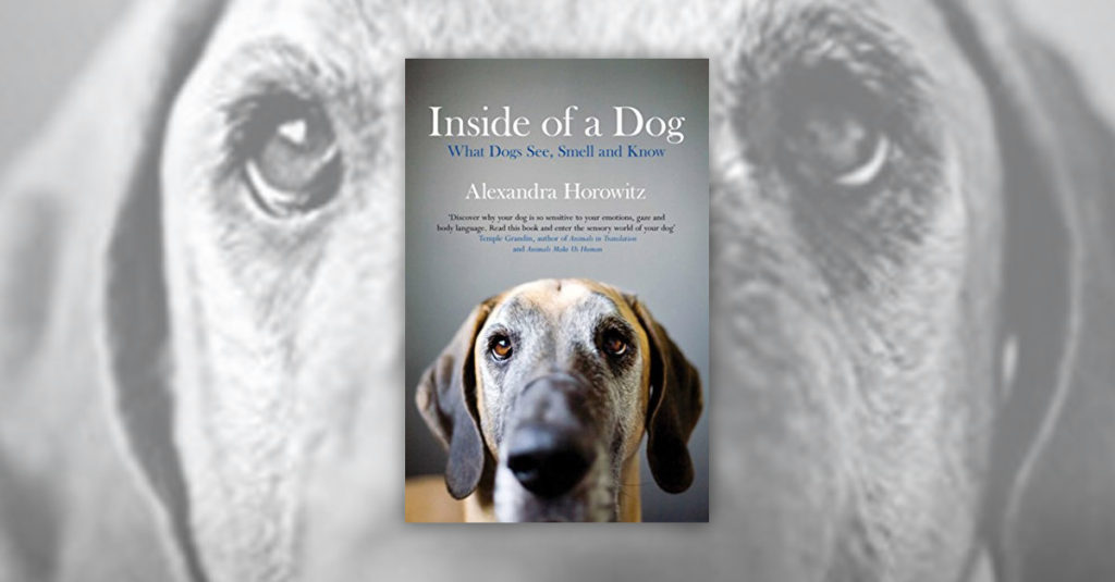 Books About Dogs R Amazing! - Inside of a Dog
