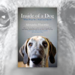 Books About Dogs R Amazing! - Inside of a Dog