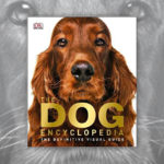 Books About Dogs R Amazing! - The Dog Encyclopedia
