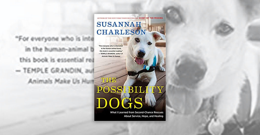 Books About Dogs R Amazing! - The Possibility Dogs