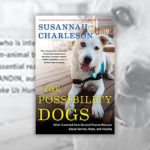 Books About Dogs R Amazing! - The Possibility Dogs