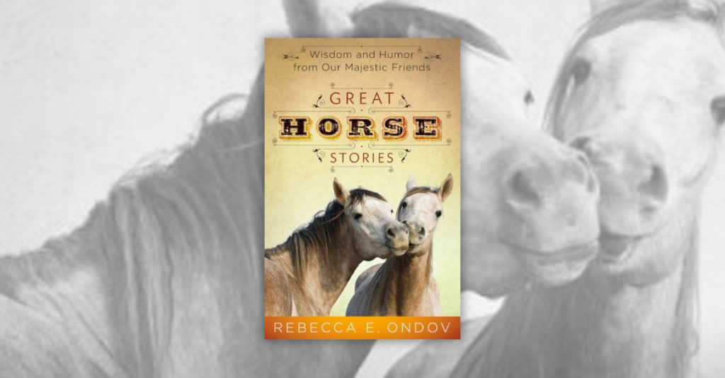 Books About Horses R Amazing! - Great Horse Stories