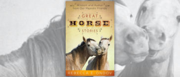 Books About Horses R Amazing! - Great Horse Stories