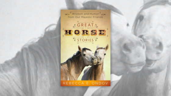 Books About Horses R Amazing! - Great Horse Stories