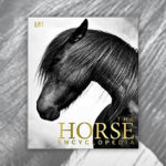 Books About Horses R Amazing! - The Horse Encyclopedia