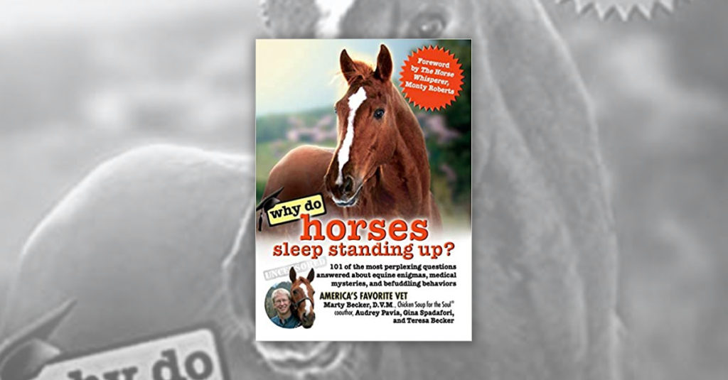 Books About Horses R Amazing! - Why do horses sleep standing up?