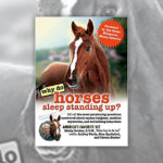 Books About Horses R Amazing! - Why do horses sleep standing up?