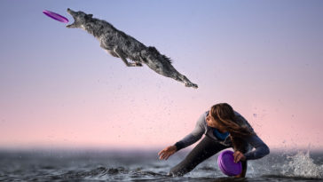 Jumping Dogs R Amazing!