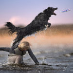 Jumping Dogs R Amazing!