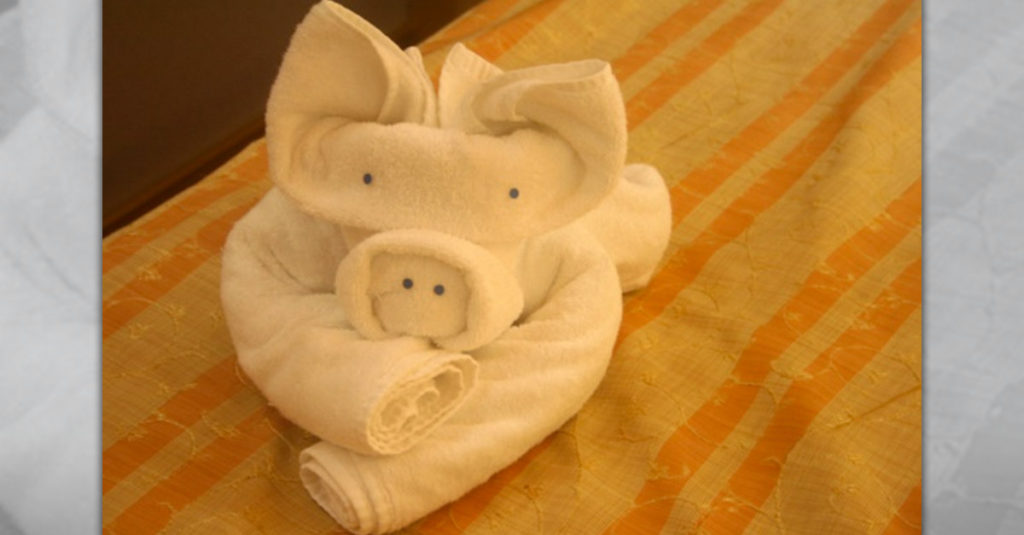 Towel Folders R Amazing! - Bull