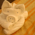 Towel Folders R Amazing! - Bull