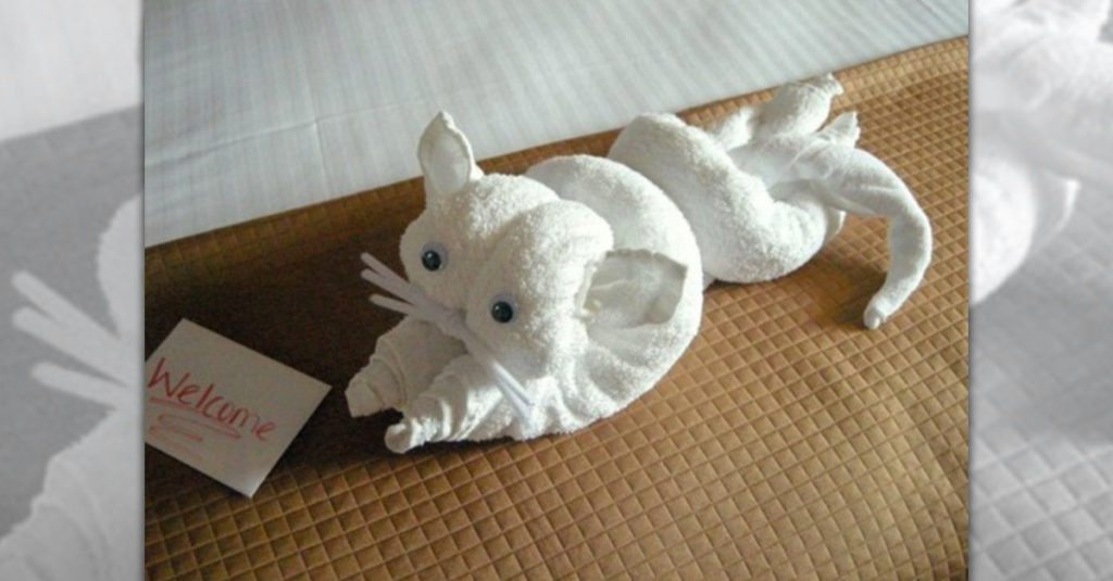 Towel Folders R Amazing! - Cat