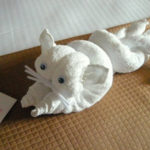 Towel Folders R Amazing! - Cat