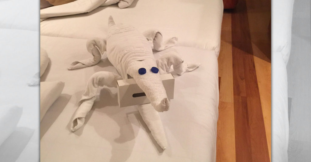 Towel Folders R Amazing! - Crocodile