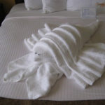 Towel Folders R Amazing! - Lobster