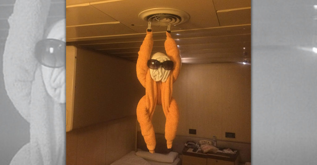 Towel Folders R Amazing! - Monkey