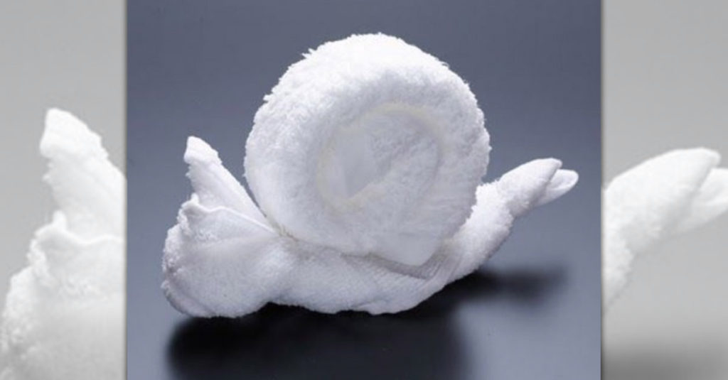Towel Folders R Amazing! - Snail