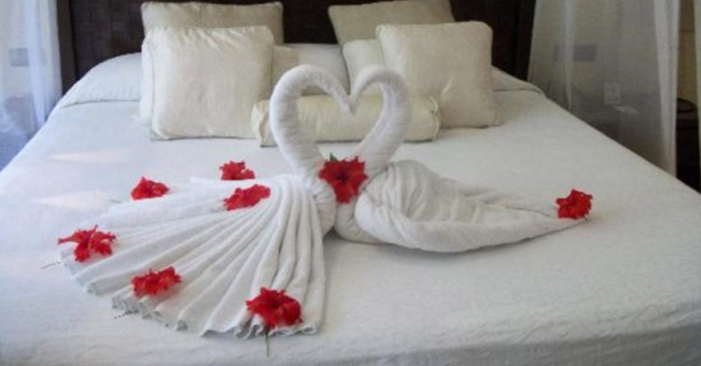 Towel Folders R Amazing! - Swans