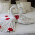 Towel Folders R Amazing! - Swans