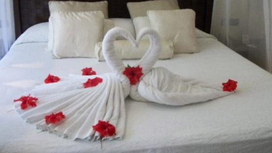 Towel Folders R Amazing! - Swans