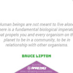 Bruce Lipton Quotes R Amazing! - Community