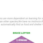 Bruce Lipton Quotes R Amazing! - Food