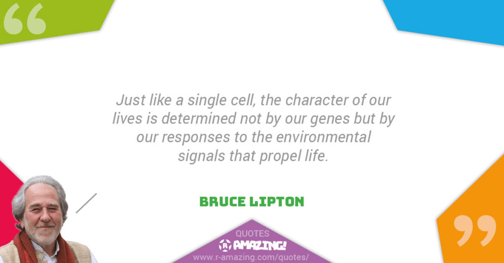 Bruce Lipton Quotes R Amazing! - Responses