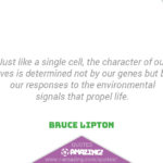 Bruce Lipton Quotes R Amazing! - Responses