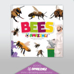 Bees R Amazing! Book