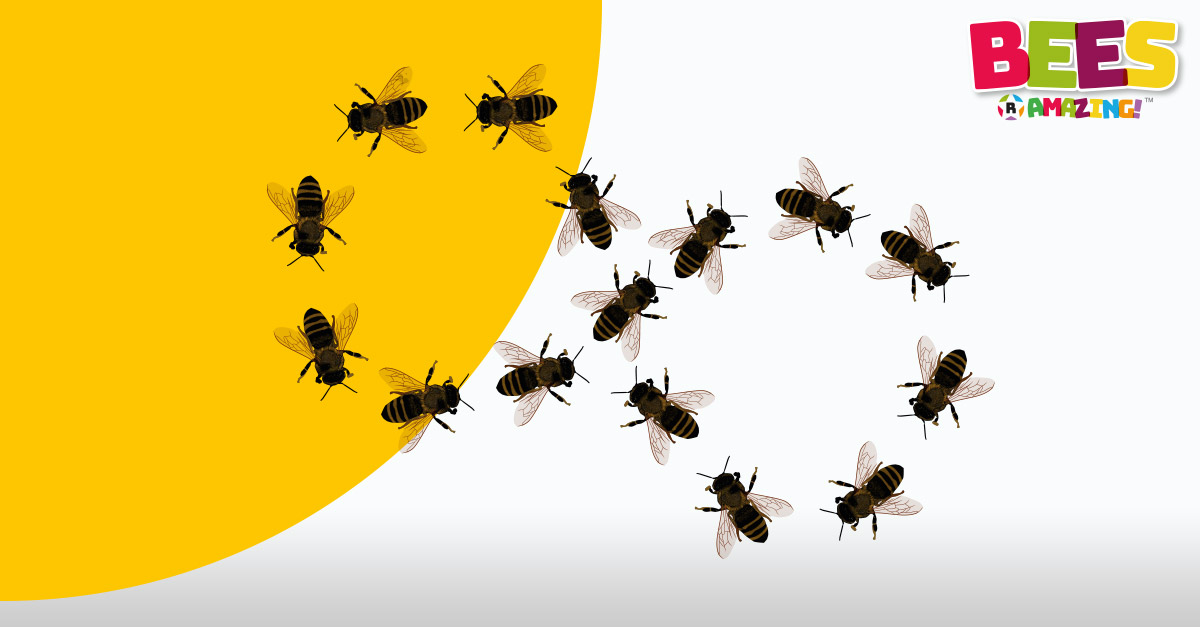 Bees R Amazing! Dancing Bees