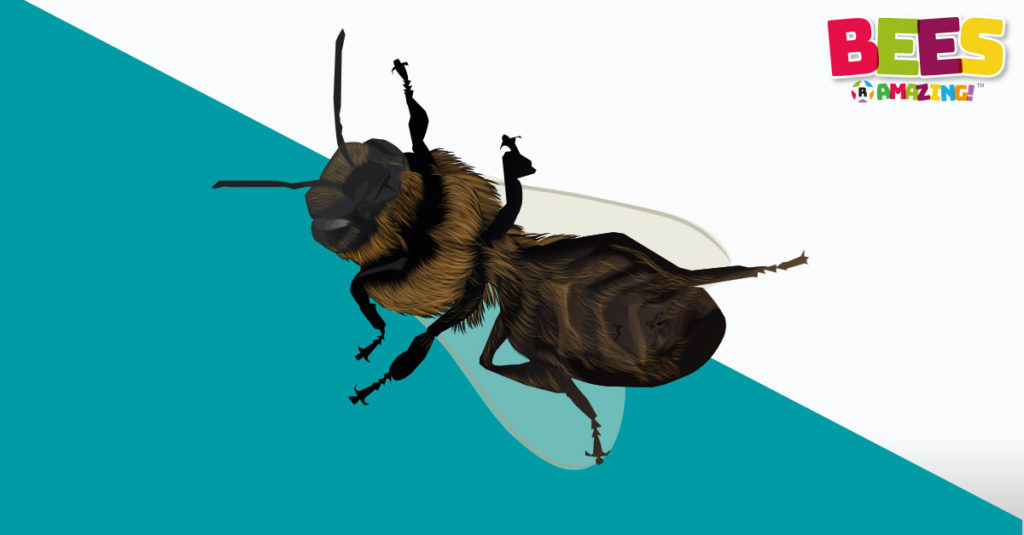 Bees R Amazing! - Enemies