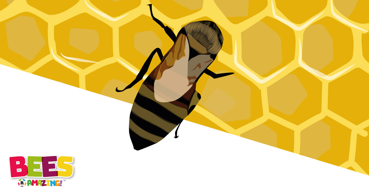 Bees R Amazing! - Honey