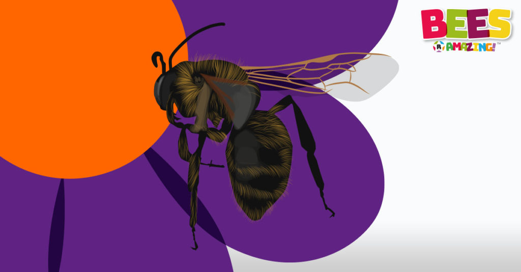 Bees R Amazing! - Pollen