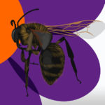 Bees R Amazing! - Pollen