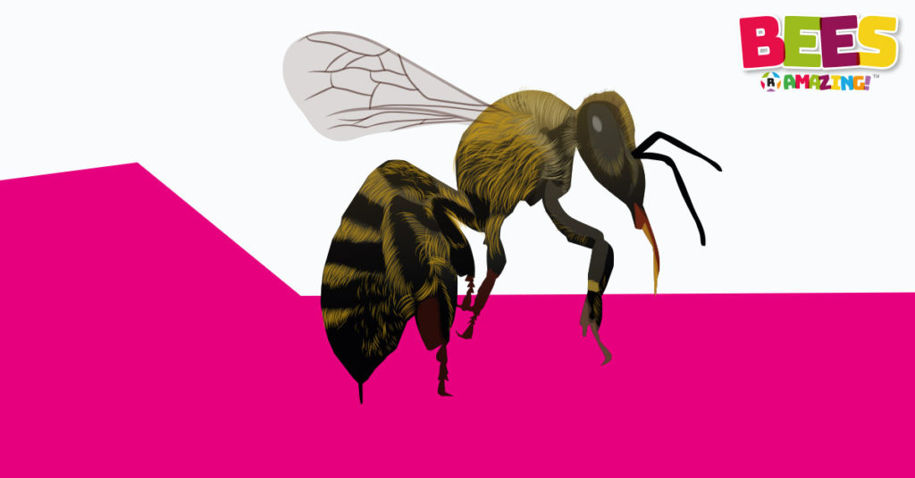 Bees R Amazing! - Sting