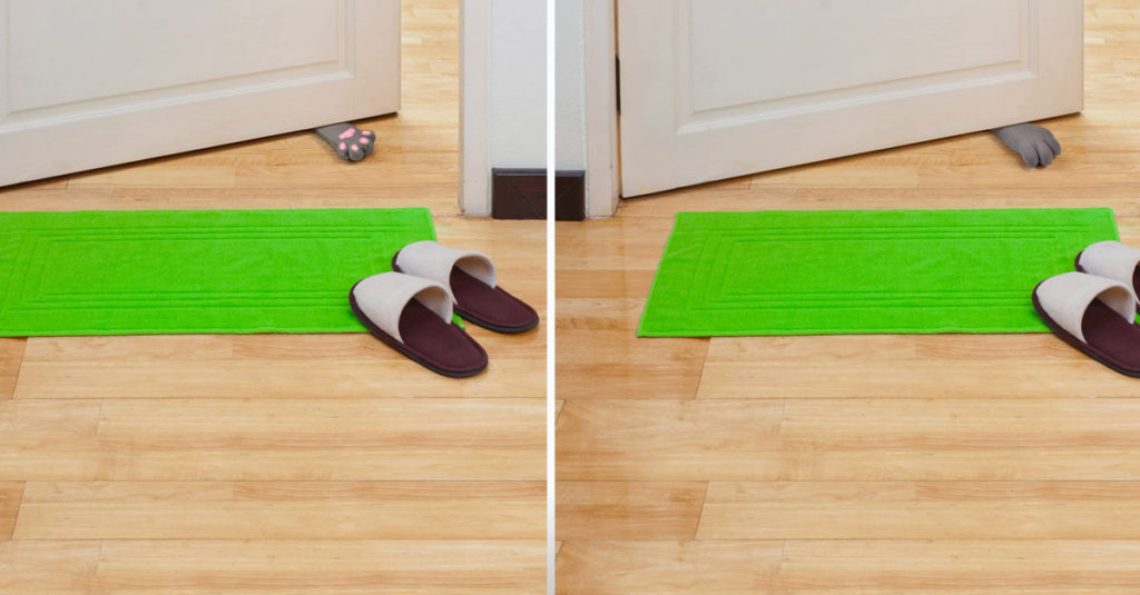 Door Wedges R Amazing! - Cat Paw