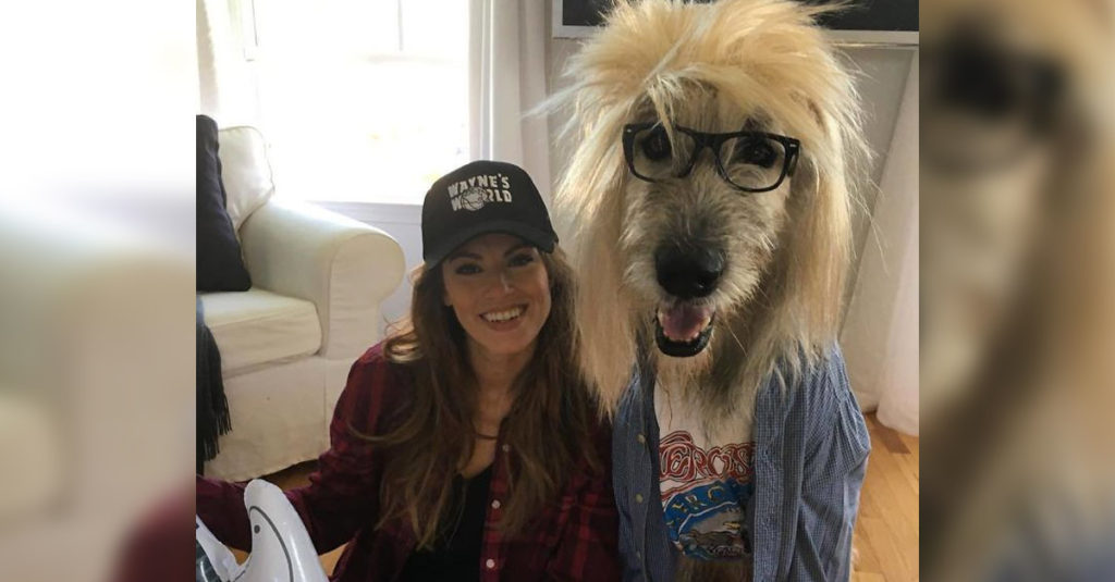 Irish Wolfhounds R Amazing!