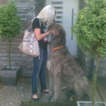 Irish Wolfhounds R Amazing!